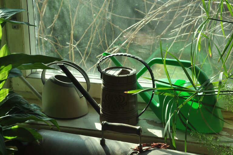 Simple Tips for Keeping Your Houseplants Healthy
